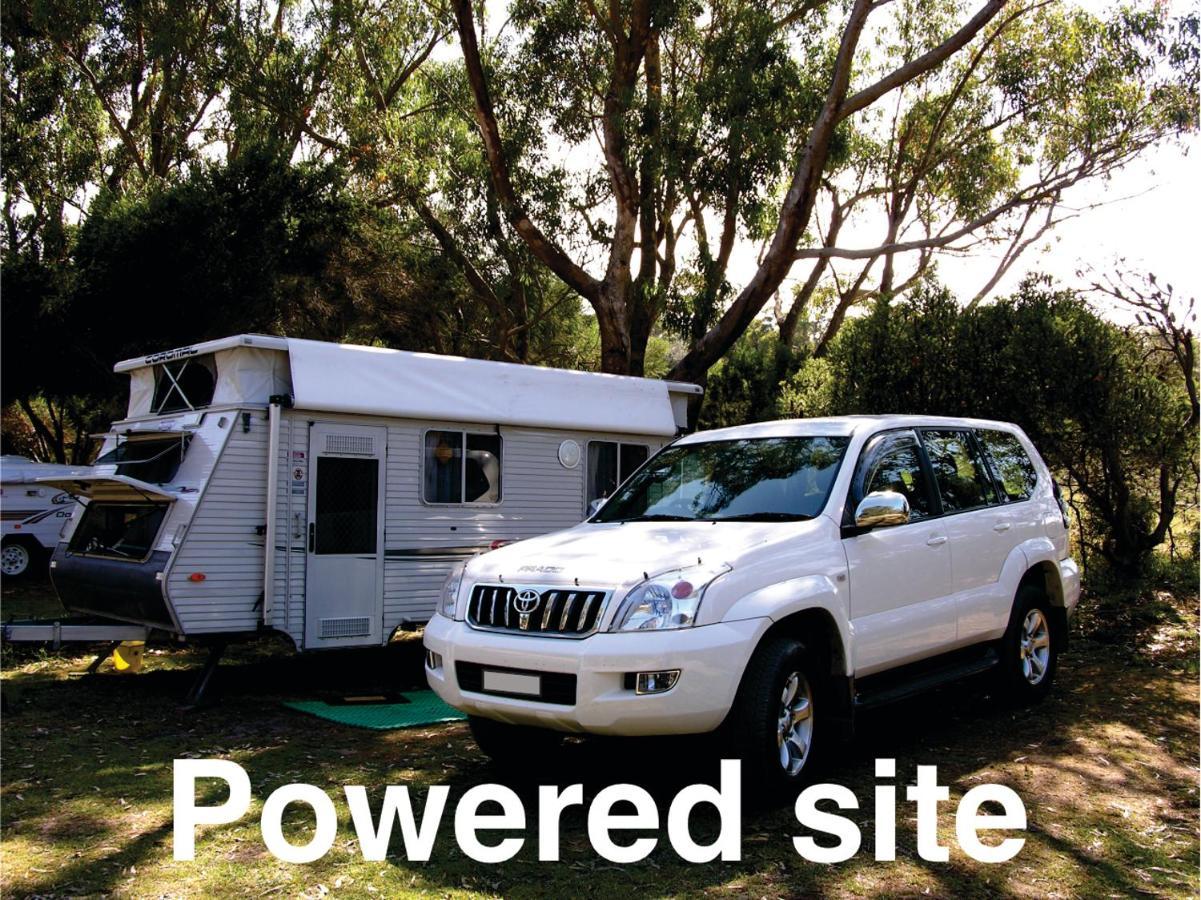 Bimbi Park - Camping Under Koalas Cape Otway Exteriör bild