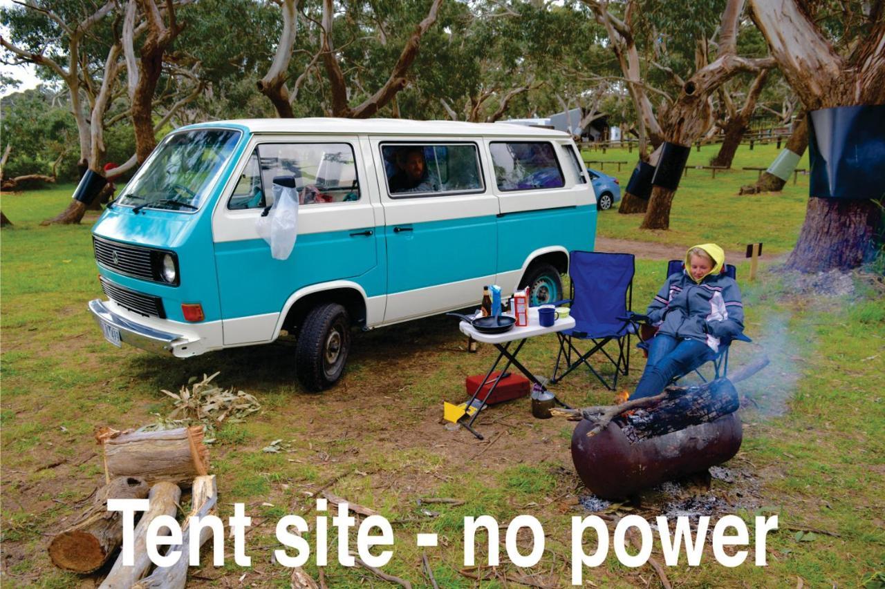 Bimbi Park - Camping Under Koalas Cape Otway Exteriör bild