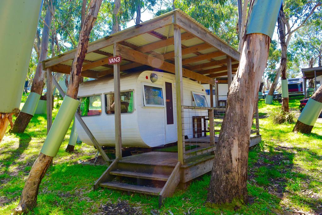 Bimbi Park - Camping Under Koalas Cape Otway Exteriör bild