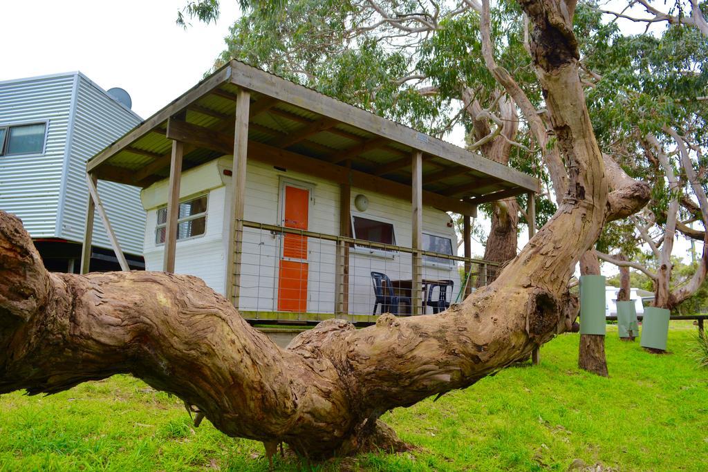 Bimbi Park - Camping Under Koalas Cape Otway Exteriör bild