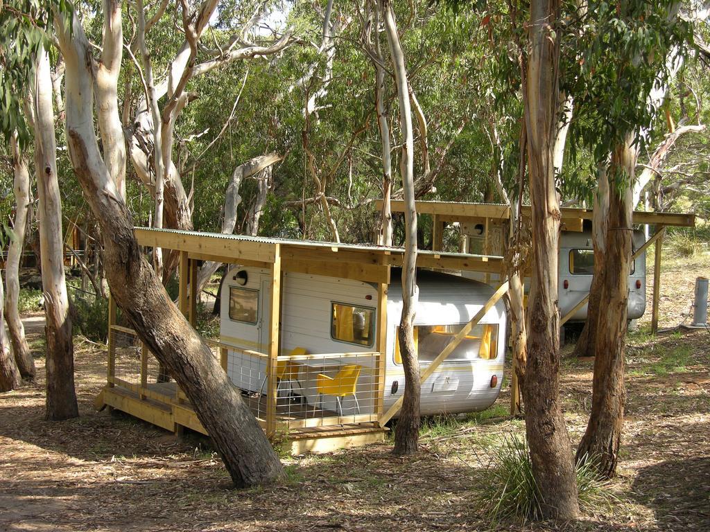 Bimbi Park - Camping Under Koalas Cape Otway Exteriör bild
