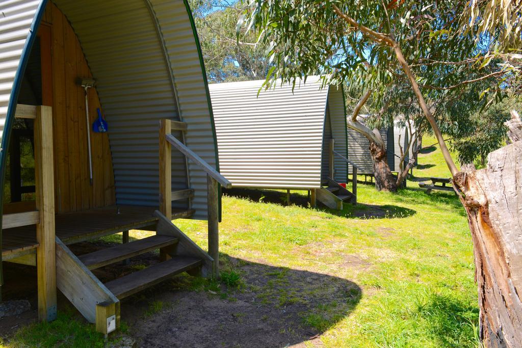 Bimbi Park - Camping Under Koalas Cape Otway Exteriör bild