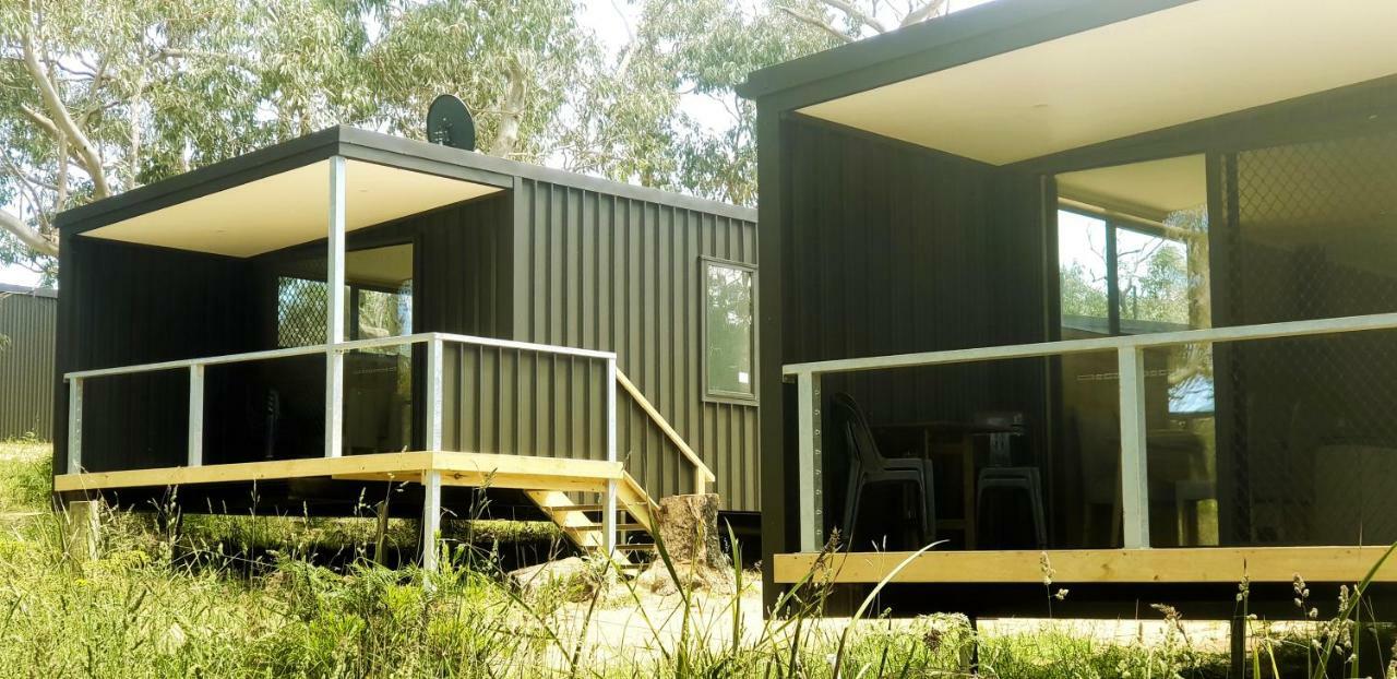 Bimbi Park - Camping Under Koalas Cape Otway Exteriör bild